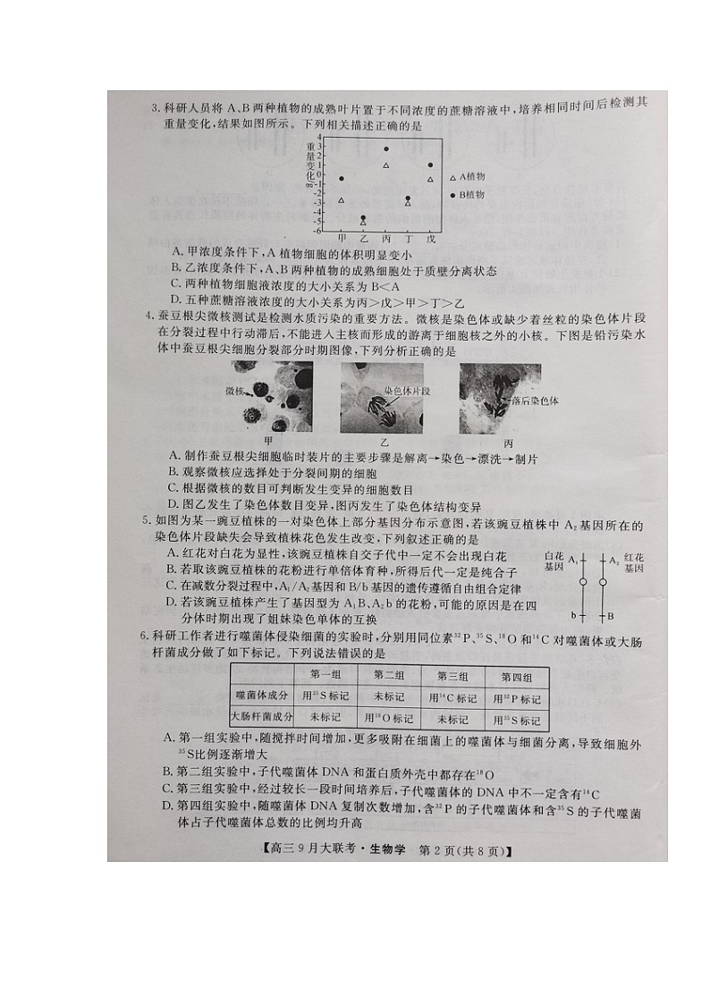 湖湘名校教育联合体2022-2023学年高三上学期9月大联考生物试题02