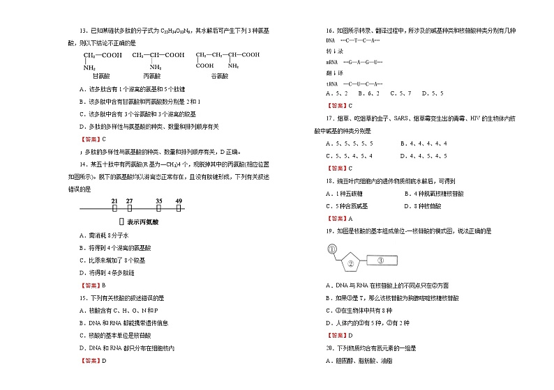 2022年高中生物 必修1 第二单元 组成细胞的分子 基础训练（二）解析版（新人教版）第3页