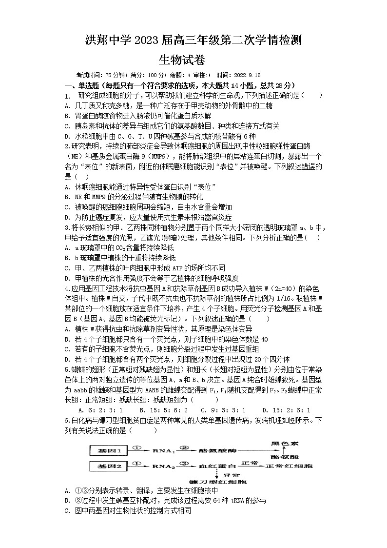 江苏省宿迁市泗洪县洪翔中学2022-2023学年高三上学期第二次学情检测生物试题（含答案）第1页