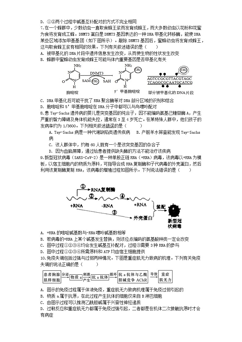 江苏省宿迁市泗洪县洪翔中学2022-2023学年高三上学期第二次学情检测生物试题（含答案）第2页