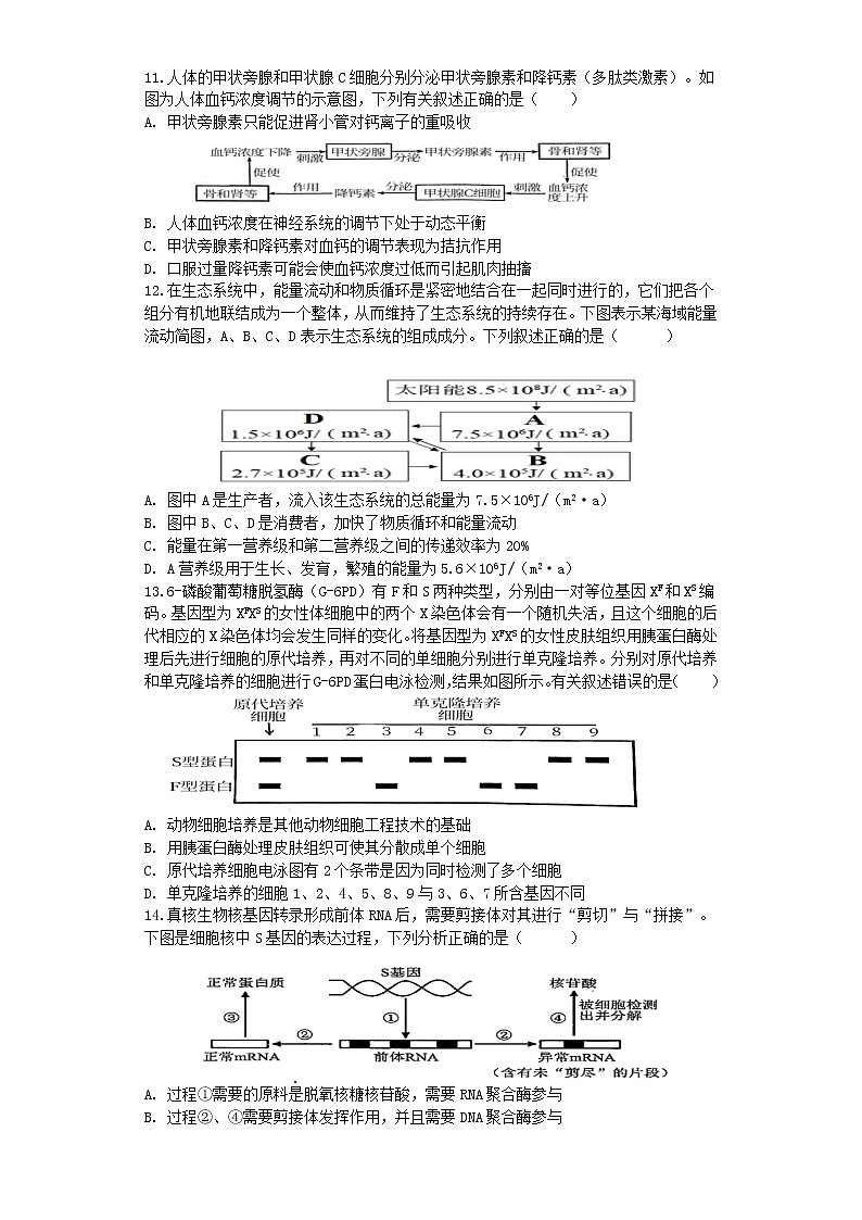 江苏省宿迁市泗洪县洪翔中学2022-2023学年高三上学期第二次学情检测生物试题（含答案）第3页