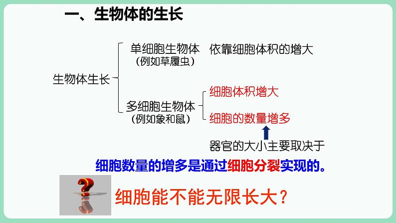 第6章第1节 细胞增殖第3页