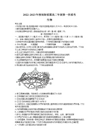 河南省创新联盟2022-2023学年高二上学期第一次联考生物试卷（含答案）