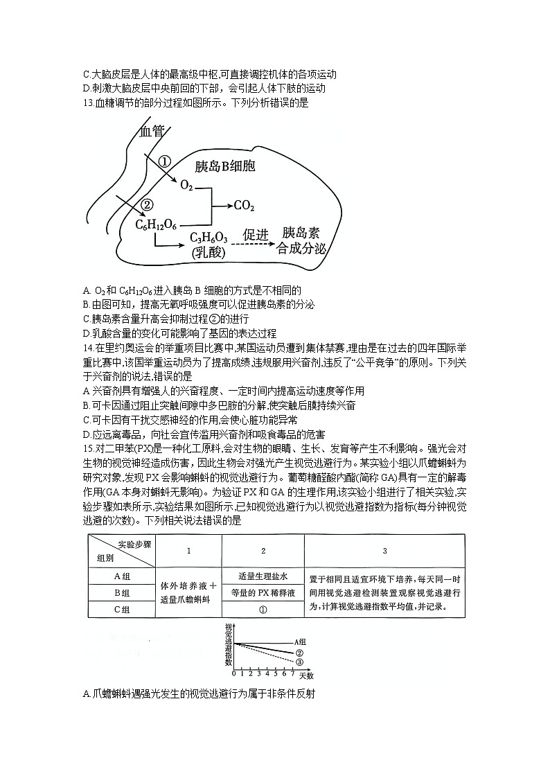 河南省创新联盟2022-2023学年高二上学期第一次联考生物试卷（含答案）第3页