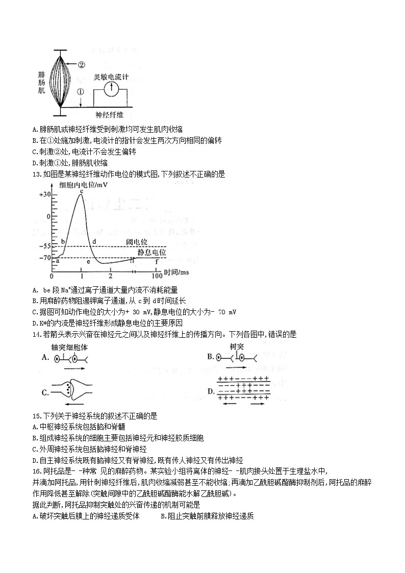 河南省中原名校2022-2023学年高二上学期第一次联考生物试题（含答案）03