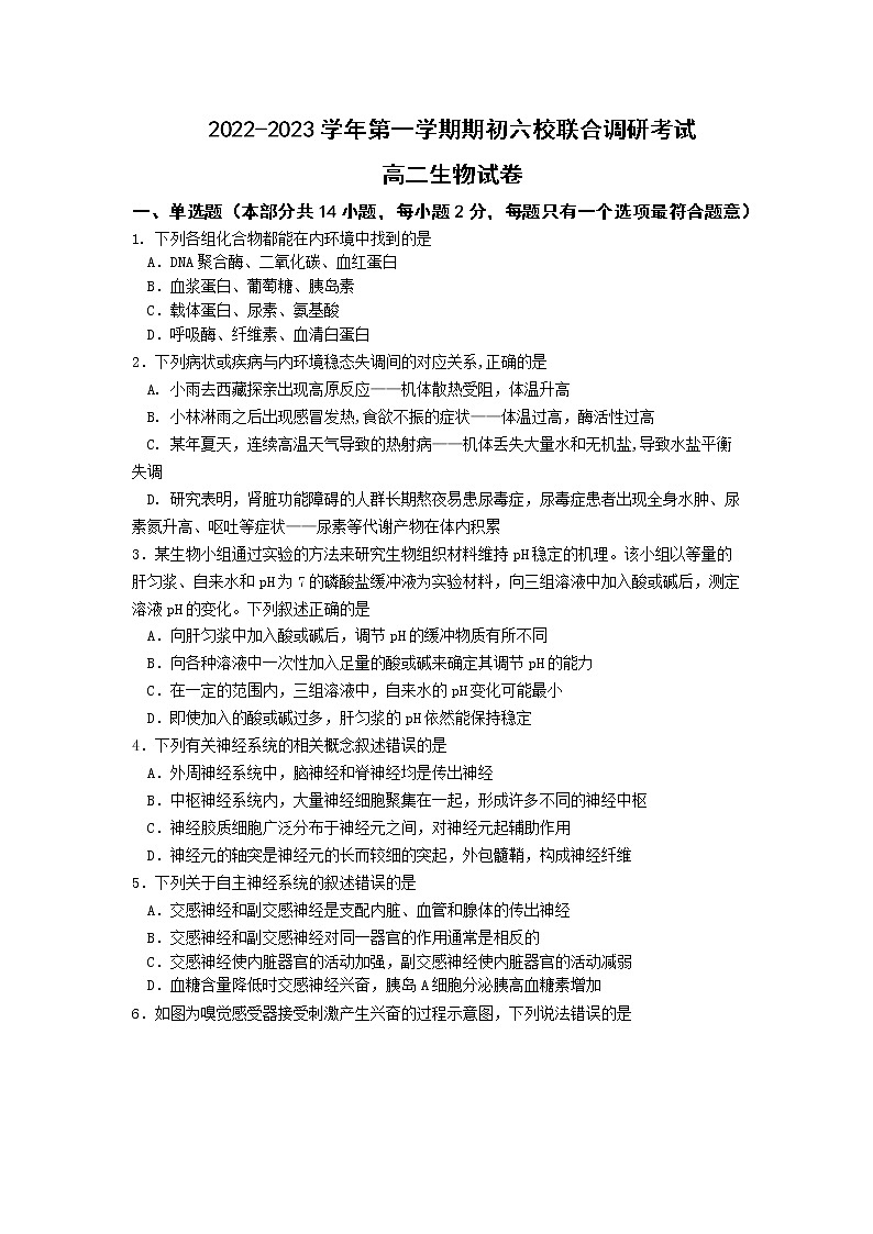 江苏省南京市六校2022-2023学年高二上学期期初联合调研考试生物试卷（含答案）01