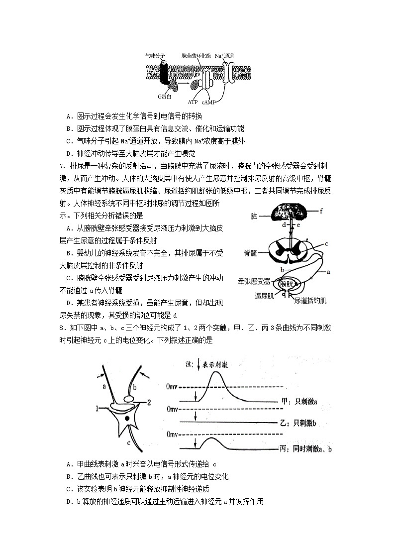 江苏省南京市六校2022-2023学年高二上学期期初联合调研考试生物试卷（含答案）02