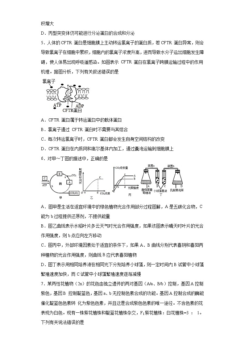 安徽省滁州市定远县育才学校2022-2023学年高三上学期开学摸底考试生物试题（含答案）第2页