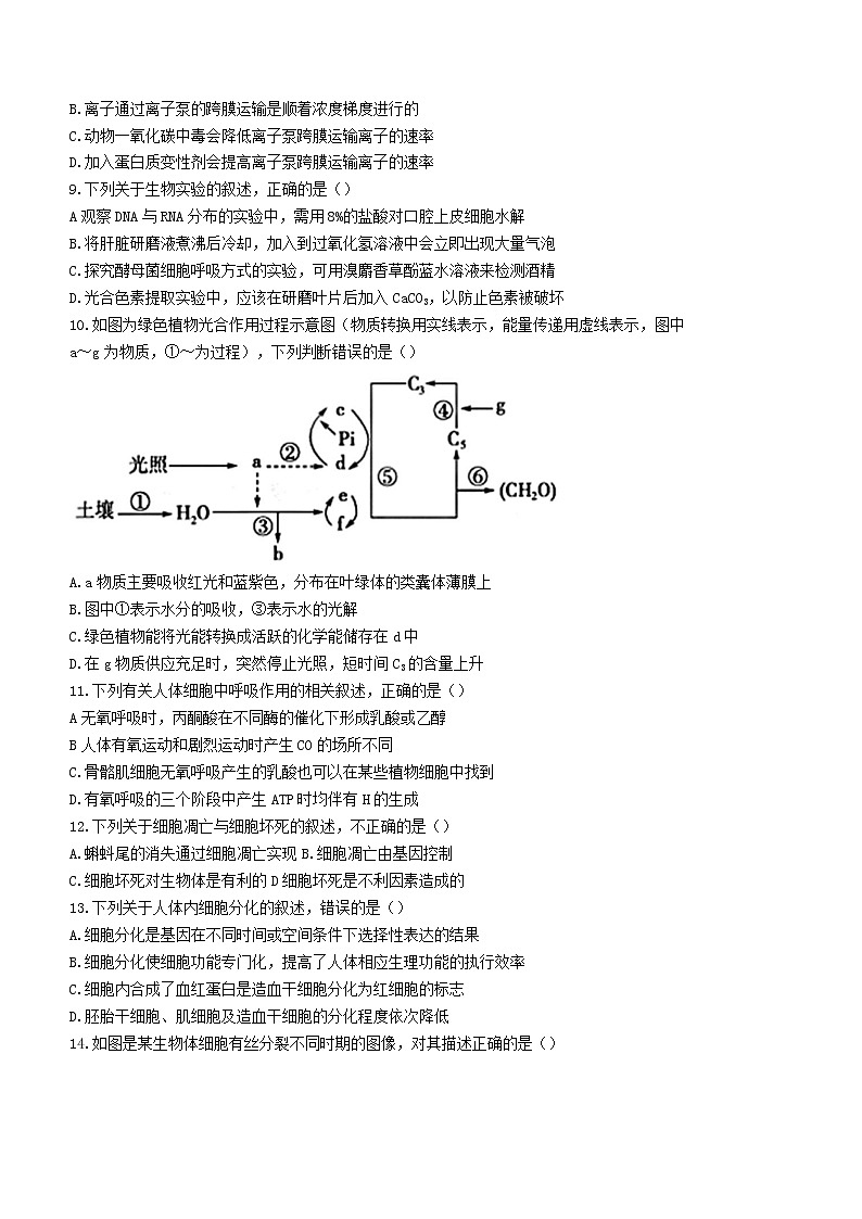 甘肃省张掖市2022-2023学年高三上学期第一次诊断考试生物试题（含答案）第2页