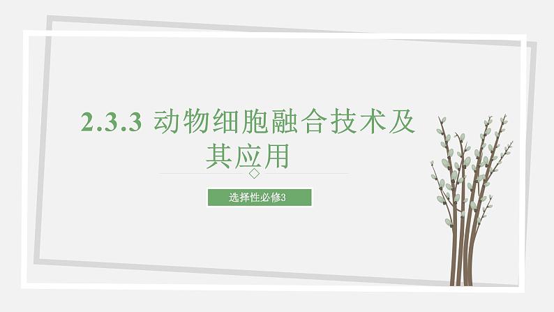 2.3.3 动物细胞融合技术及其应用 课件 高中生物新苏教版选择性必修301