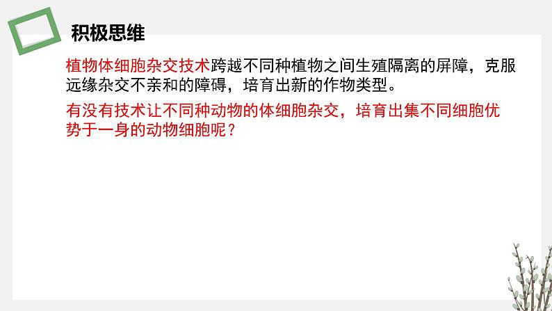 2.3.3 动物细胞融合技术及其应用 课件 高中生物新苏教版选择性必修303