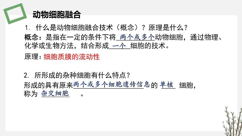 2.3.3 动物细胞融合技术及其应用 课件 高中生物新苏教版选择性必修305