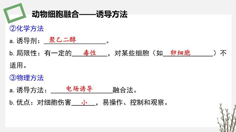 2.3.3 动物细胞融合技术及其应用 课件 高中生物新苏教版选择性必修308