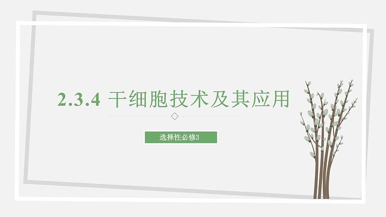 2.3.4 干细胞技术及其应用 课件 高中生物新苏教版选择性必修3第1页