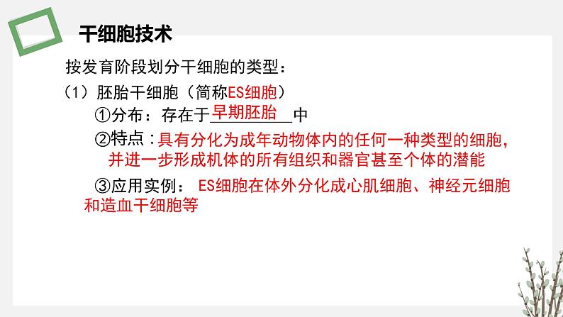 2.3.4 干细胞技术及其应用 课件 高中生物新苏教版选择性必修3第5页