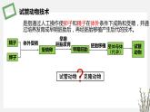 2.4.2 体外受精及胚胎移植技术 课件 高中生物新苏教版选择性必修3