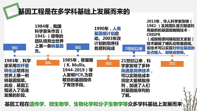 3.1.1 基因工程的发展历程和基因工程的基本工具 课件 高中生物新苏教版选择性必修307