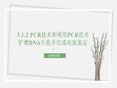3.1.2 PCR技术和利用PCR技术扩增DNA片段并完成电泳鉴定 课件 高中生物新苏教版选择性必修3