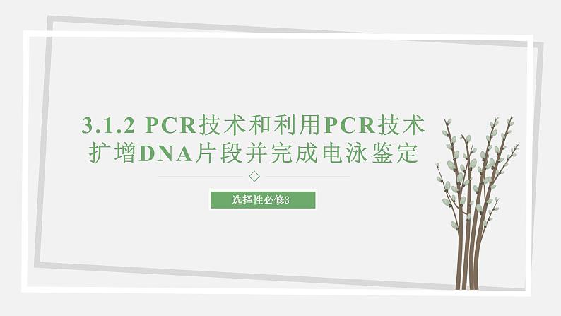 3.1.2 PCR技术和利用PCR技术扩增DNA片段并完成电泳鉴定 课件 高中生物新苏教版选择性必修301