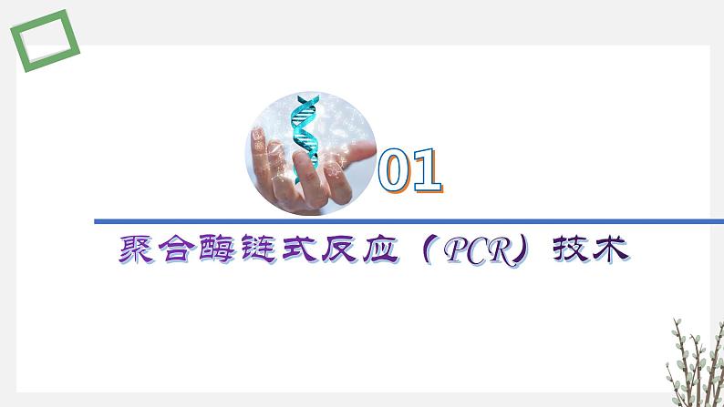 3.1.2 PCR技术和利用PCR技术扩增DNA片段并完成电泳鉴定 课件 高中生物新苏教版选择性必修302