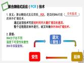 3.1.2 PCR技术和利用PCR技术扩增DNA片段并完成电泳鉴定 课件 高中生物新苏教版选择性必修3