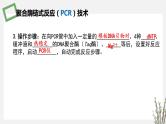 3.1.2 PCR技术和利用PCR技术扩增DNA片段并完成电泳鉴定 课件 高中生物新苏教版选择性必修3