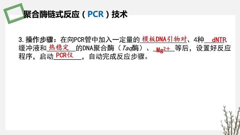 3.1.2 PCR技术和利用PCR技术扩增DNA片段并完成电泳鉴定 课件 高中生物新苏教版选择性必修305