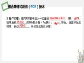 3.1.2 PCR技术和利用PCR技术扩增DNA片段并完成电泳鉴定 课件 高中生物新苏教版选择性必修3