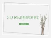 3.1.3 DNA的粗提取和鉴定 课件 高中生物新苏教版选择性必修3