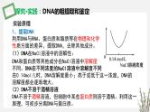 3.1.3 DNA的粗提取和鉴定 课件 高中生物新苏教版选择性必修3