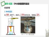 3.1.3 DNA的粗提取和鉴定 课件 高中生物新苏教版选择性必修3