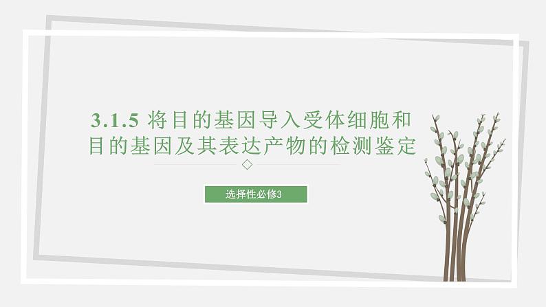 3.1.5 将目的基因导入受体细胞和目的基因及其表达产物的检测鉴定 课件 高中生物新苏教版选择性必修301