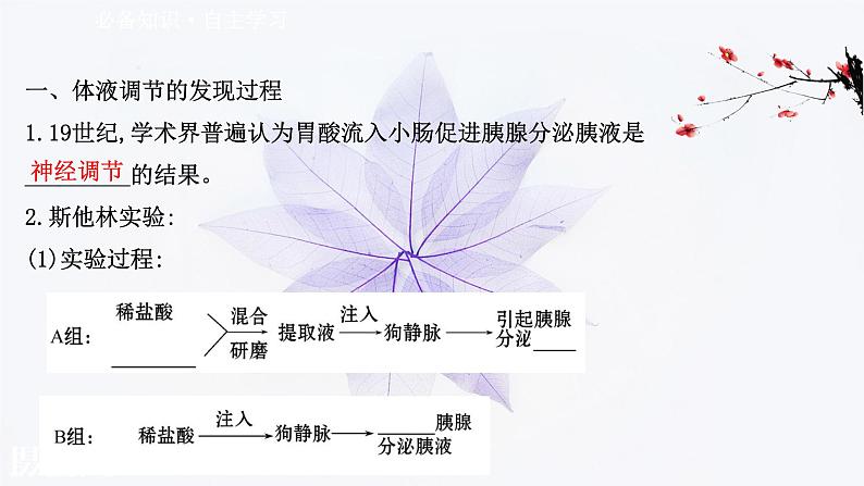 第三章 第一节 体液调节是通过化学信号实现的调节 课件（43张）-高中生物新浙科版（2019）选择性必修103