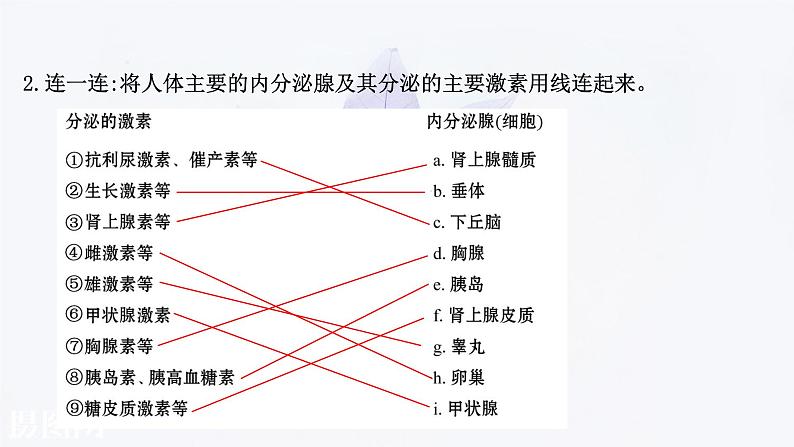 第三章 第一节 体液调节是通过化学信号实现的调节 课件（43张）-高中生物新浙科版（2019）选择性必修108