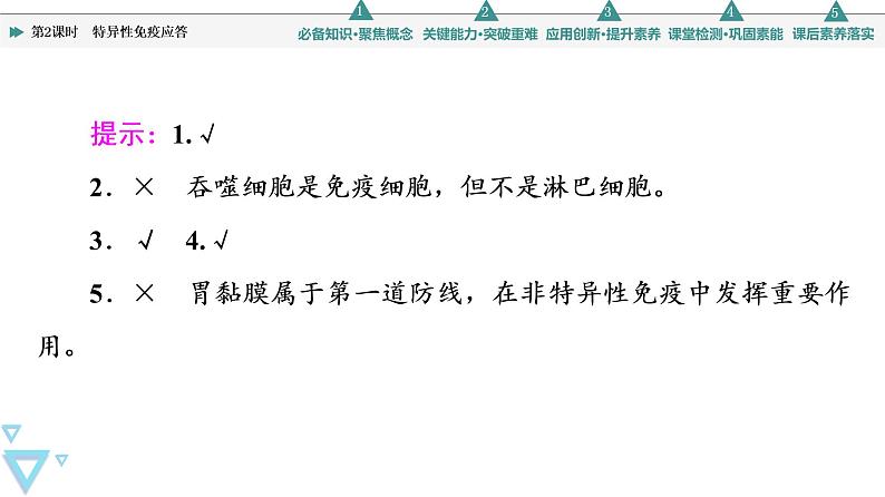 选择性必修1 人体的免疫系统和非特异性免疫应答（45张）  课件-高中生物新苏教版（2019）选择性必修108