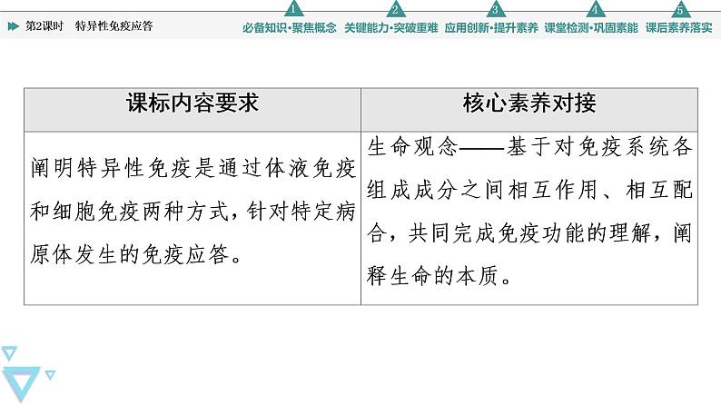 选择性必修1 特异性免疫应答（70张）  课件-高中生物新苏教版（2019）选择性必修102