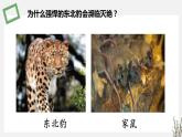 1.1.1   种群特征 课件 高中生物新苏教版选择性必修2