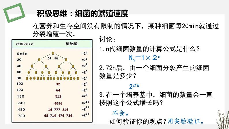 1.1.2  种群数量变化的数学模型 课件 高中生物新苏教版选择性必修203