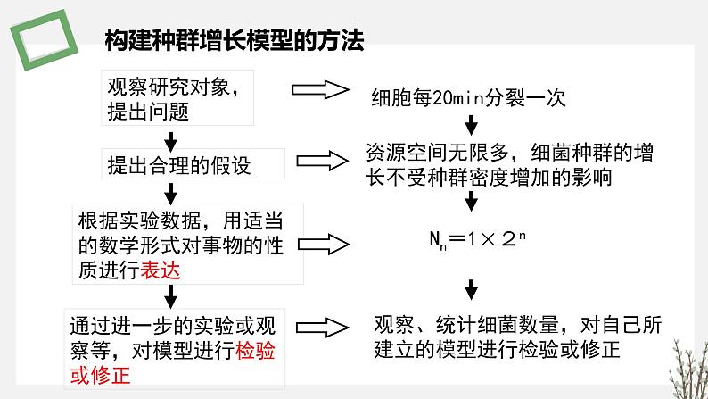 1.1.2  种群数量变化的数学模型 课件 高中生物新苏教版选择性必修206