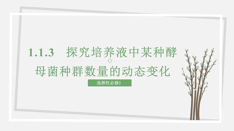 1.1.3   探究培养液中某种酵母菌种群数量的动态变化 课件 高中生物新苏教版选择性必修2（20第1页