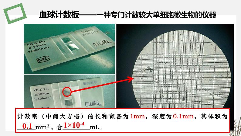 1.1.3   探究培养液中某种酵母菌种群数量的动态变化 课件 高中生物新苏教版选择性必修2（20第7页