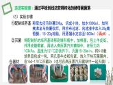 1.2.2  微生物分离、纯化和培养的无菌技术 课件 高中生物新苏教版选择性必修3