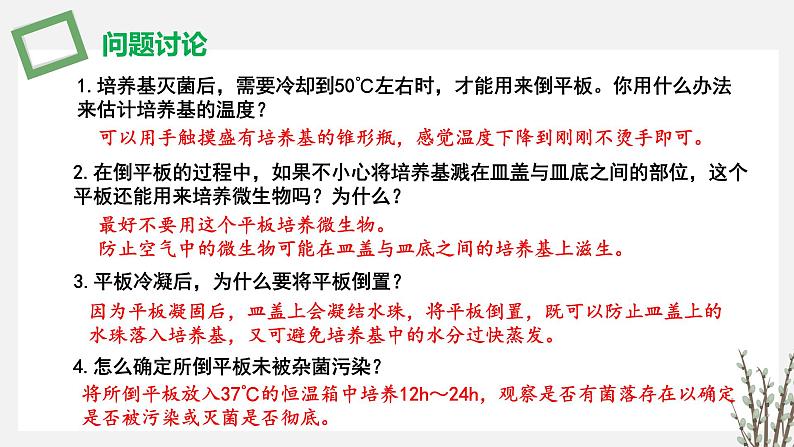 1.2.2  微生物分离、纯化和培养的无菌技术 课件 高中生物新苏教版选择性必修3第7页