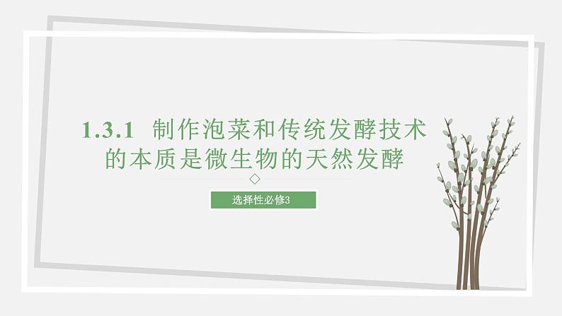 1.3.1  制作泡菜和传统发酵技术的本质是微生物的天然发酵 课件 高中生物新苏教版选择性必修301