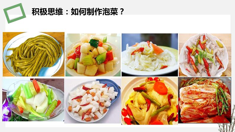 1.3.1  制作泡菜和传统发酵技术的本质是微生物的天然发酵 课件 高中生物新苏教版选择性必修303