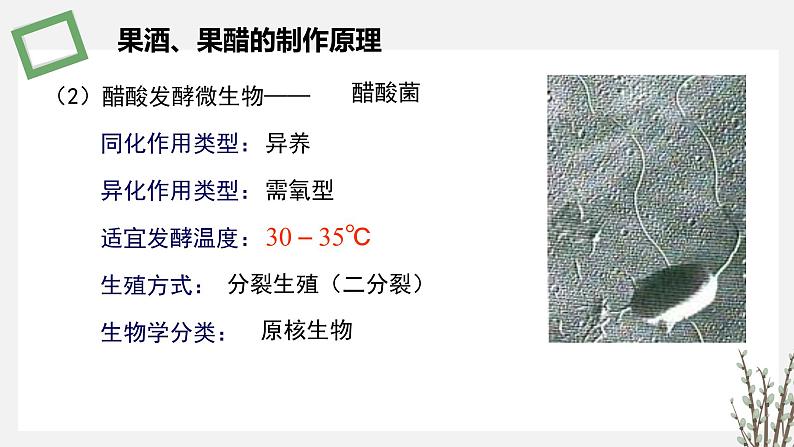 1.3.2 传统发酵技术生产的食品 课件 高中生物新苏教版选择性必修307