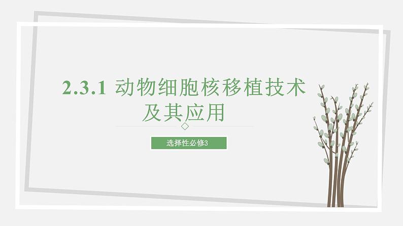 2.3.1 动物细胞核移植技术及其应用 课件 高中生物新苏教版选择性必修301