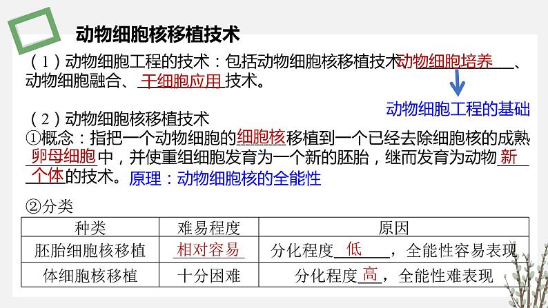 2.3.1 动物细胞核移植技术及其应用 课件 高中生物新苏教版选择性必修307