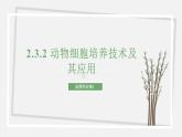 2.3.2 动物细胞培养技术及其应用 课件 高中生物新苏教版选择性必修3