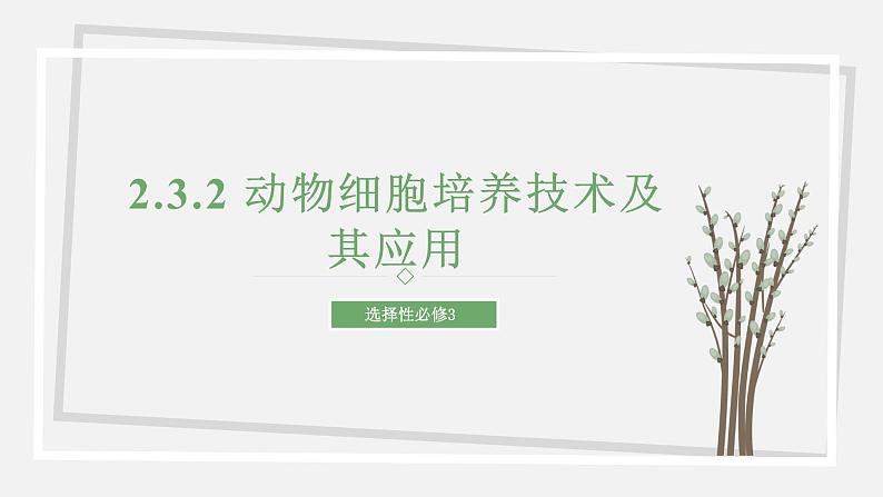 2.3.2 动物细胞培养技术及其应用 课件 高中生物新苏教版选择性必修301